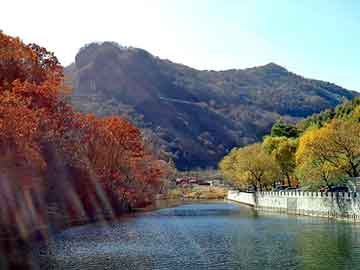 天天彩好彩天天免费，气煤价格